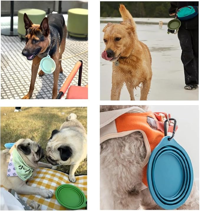 Collapsible Travel Pet Bowl with Carabiner, Purple