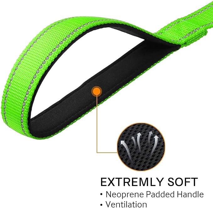 Joytale 12-16 inches Dog Collar and 6FT Leash, Reflective Soft Neoprene Padded Pet Collars and Leashes for Small Dog