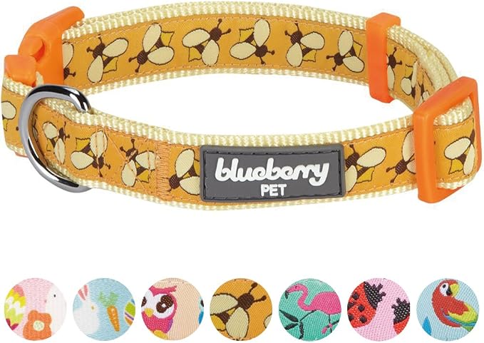Blueberry Pet Essentials 10 Patterns Statement Busy Bees Designer Adjustable Dog Collar, Small, Neck 12"-16"