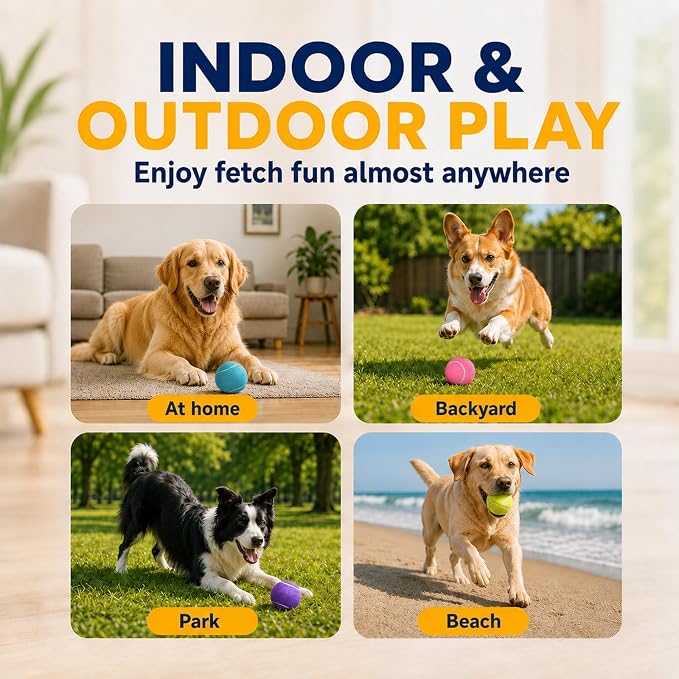 INSUM Tennis Balls for Dogs, 2.5'' 20 Pack Bulk Fetch Dog Balls | Durable Non-toxic Safe for Dogs, Great for Fetch, Backyard Play, Multi-dog Families
