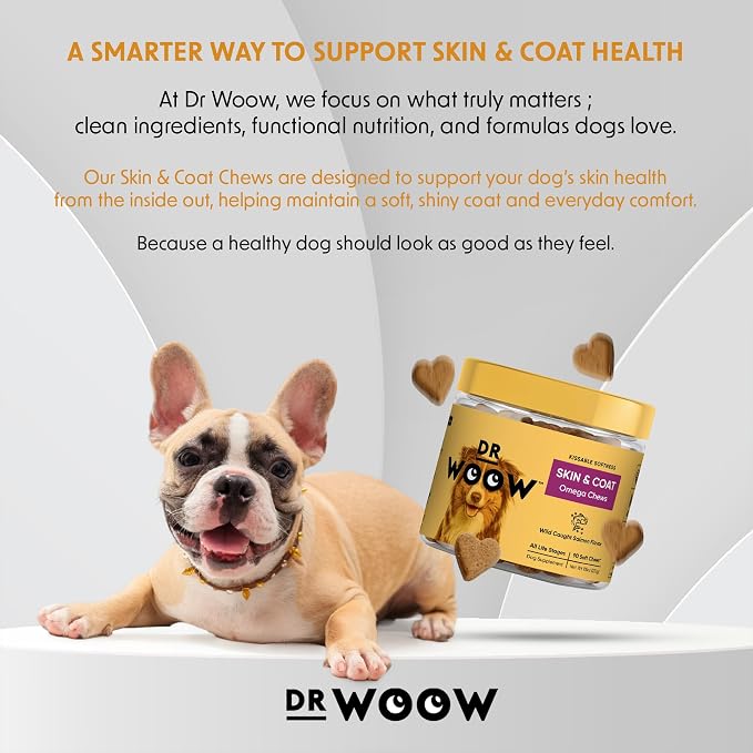 Omega 3 Supplements for Dogs Soft Chews (90 CT) – Skin & Coat Support + Itchy Skin Comfort – Wild Alaskan Salmon Oil + Biotin – Made in USA