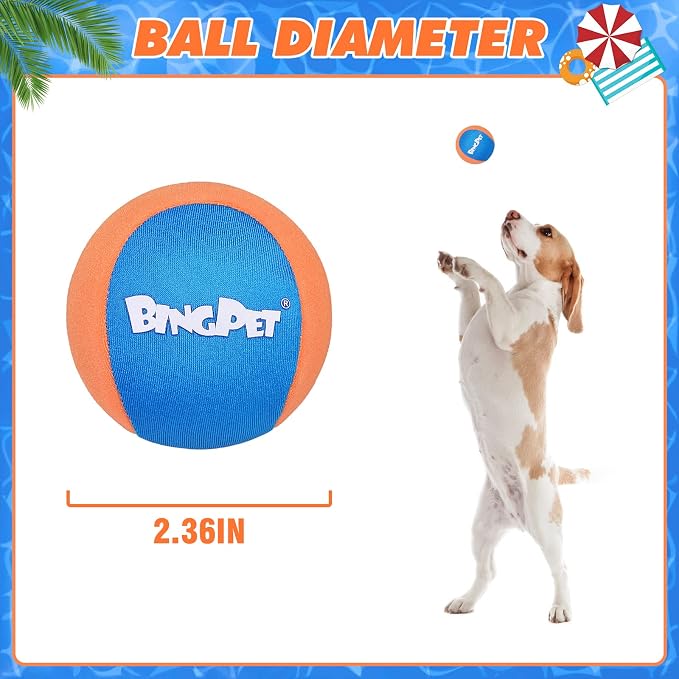 BINGPET Dog Pool Toy Floating Balls, 2-Pack, Orange