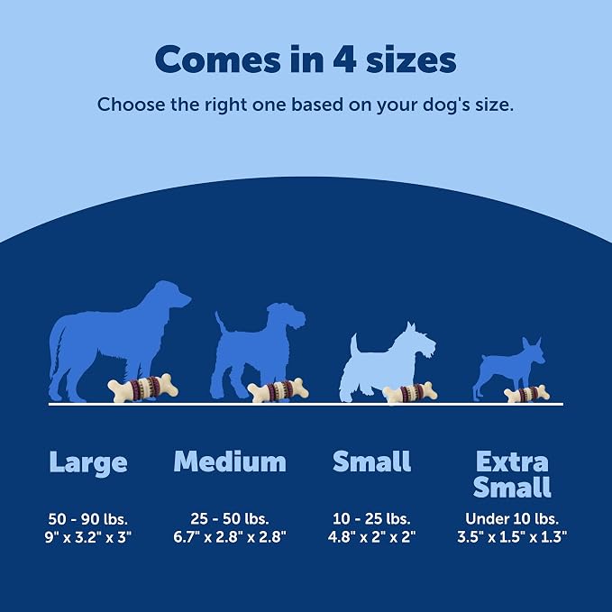 PetSafe Busy Buddy Bristle Bone Dog Treat Holding Chew Toy, Small | Toothbrush-In-A-Toy Design Helps Clean Teeth While Dog Chews, Holds Treat Rings, Durable, Interactive Play, for Dogs 10-25 Lb