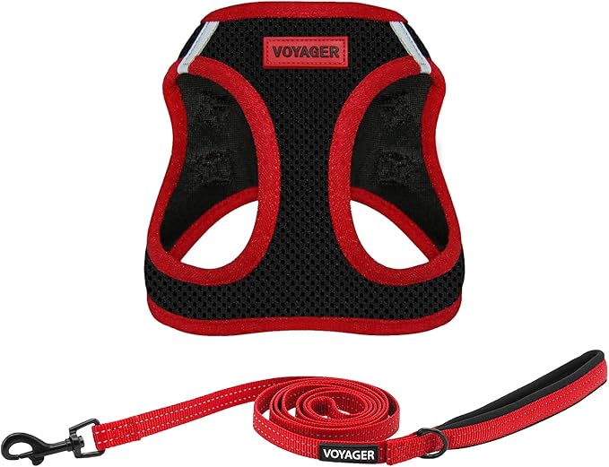 Best Pet Supplies Voyager Step-in Air All Weather Mesh Harness and Reflective Dog 5ft Leash Combo with Neoprene Handle, for Small, Medium and Large Breed Puppies - Red Trim, Medium