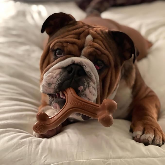 Nylabone Power Chew Easy-Hold Wishbone Dog Chew Toy, Large | Bison flavor, durable dog toys for aggressive chewers, discourages destructive chewing, for large breeds up to 50 lbs