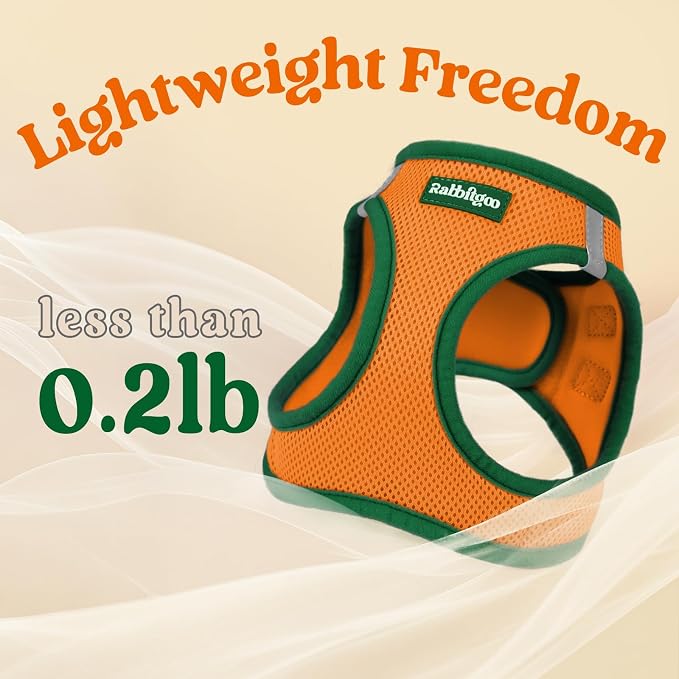 rabbitgoo Dog Harness Small Sized and Leash Set, Step in Soft Vest | Breathable Mesh, Easy Wear with Hook & Loop, Light and Reflective for Walking, Multi-colored, Orange & Dark Green, XXS