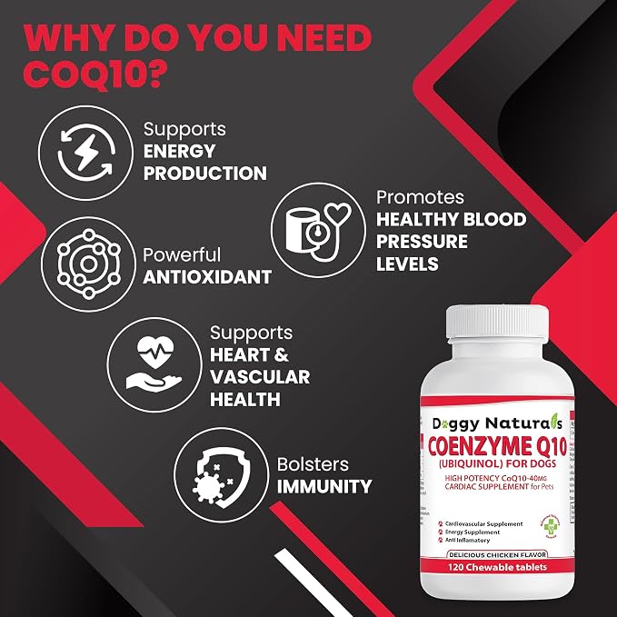 Coenzyme Q10 High Potency COQ10-40mg UBIQUINOL for Dogs (120 Tabs) Made in U.S.A. CoQ10 for Dogs