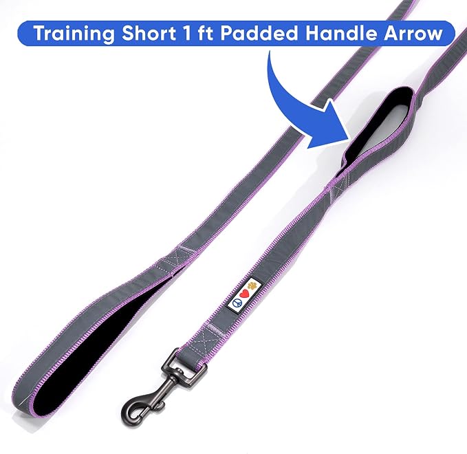Pawtitas Double Handle Dog Leash Heavy Duty for Training No Pull Leashes Ideal for Medium and Large Dogs | Great for Walking, Running & Training Dog Leash - Medium/Large - Purple