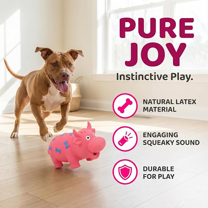 3 Pack Pig Squeaky Dog Toys, Durable Natural Latex Rubber | Piggy Shape, Grunting Sounds for Small Medium Large Dogs, Interactive Chew Toys with Oinking, Decorative Pink and Blue