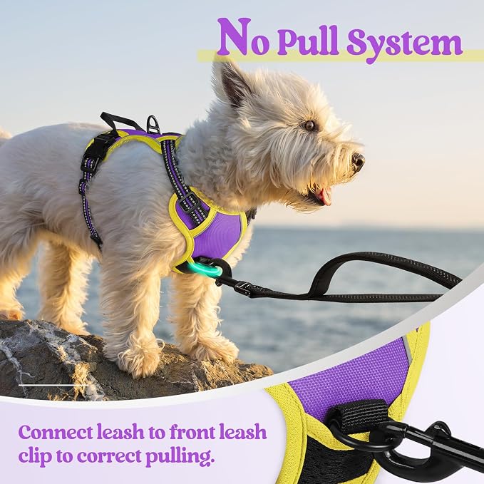rabbitgoo Dog Harness, No Pull for Small Dogs with 2 Leash Clips, Pet Vest | No Choke with Handle, Adjustable Soft Padded, Reflective, Easy Control for Walking, Purple & Yellow, X-Small