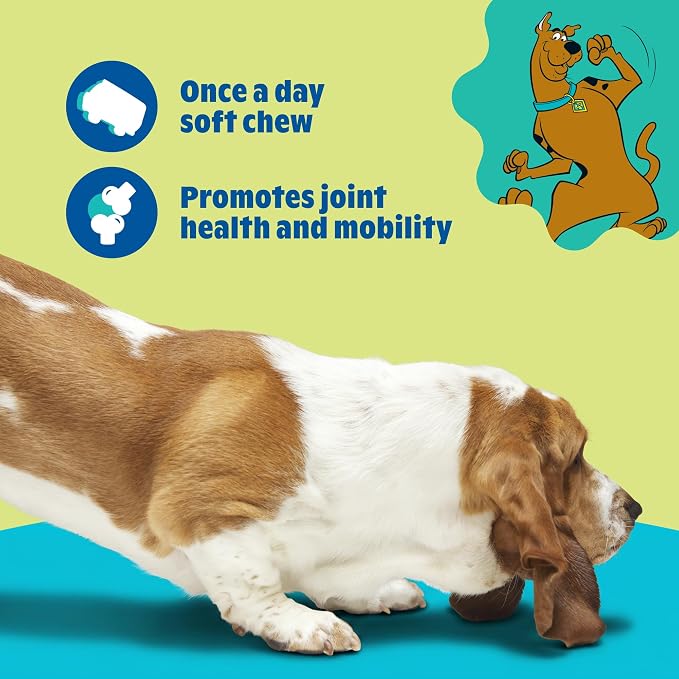 BARK x Scooby Hip & Joint Health Supplement for Medium Breed Dogs