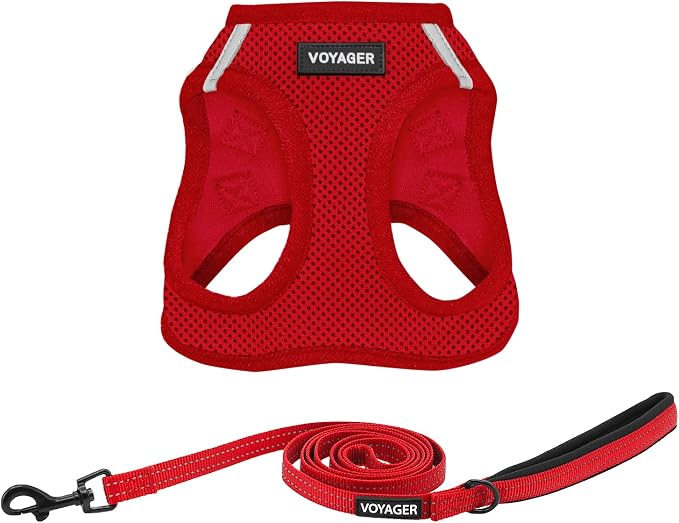 Best Pet Supplies Voyager Step-in Air All Weather Mesh Harness and Reflective Dog 5ft Leash Combo with Neoprene Handle, for Small, Medium and Large Breed Puppies - Red, X-Small