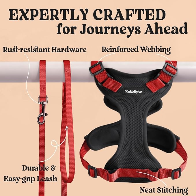 rabbitgoo Cat Harness and Leash Set, Escape Proof Vest, Black & Red | Soft Breathable Mesh, Easy Adjustable Fit, Snap Buckles, Sturdy Clip, Reflective Strips, for Medium to Large Cats Walks, M