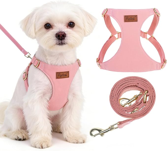 PUPTECK Dog Harness and Leash Set Small Sized, Lightweight Step-in Puppy Harness, Escape Proof No Pull Cute Pet Vest Harnesses, Pink XS