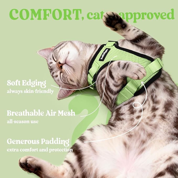 rabbitgoo Cat Harness and Leash Set, Escape Proof Vest, Light Green | Soft Breathable Mesh, Easy Adjustable Fit, Snap Buckles, Sturdy Clip, Reflective Strips, for Small & Average Cats Walks, Xs