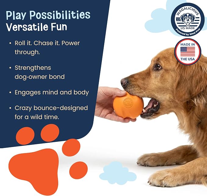 RuffRoller Fetch Toy, Floating Dog Ball, Small, Nectar