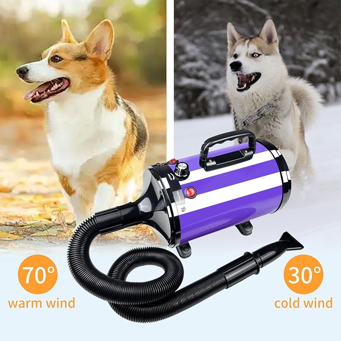 Dog Dryer High Velocity Professional Pet Grooming Dryer | Adjustable Temperature and Speed for Pets with 4 Nozzles
