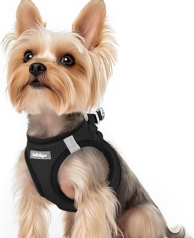 rabbitgoo Step-in Small Dog Harness, Puppy Vest for Small Sized Pet | Easy Put on and off, Lightweight, Soft, Breathable Quick-Dry Air Mesh for Comfortable Secure Walking, Black XS