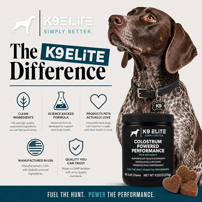 Hip & Joint Supplement for Dogs | Glucosamine, Chondroitin, Green Lipped Mussel, Colostrum, Collagen & Omega-3 | Daily Wellness, Mobility, Gut & Immune Support |