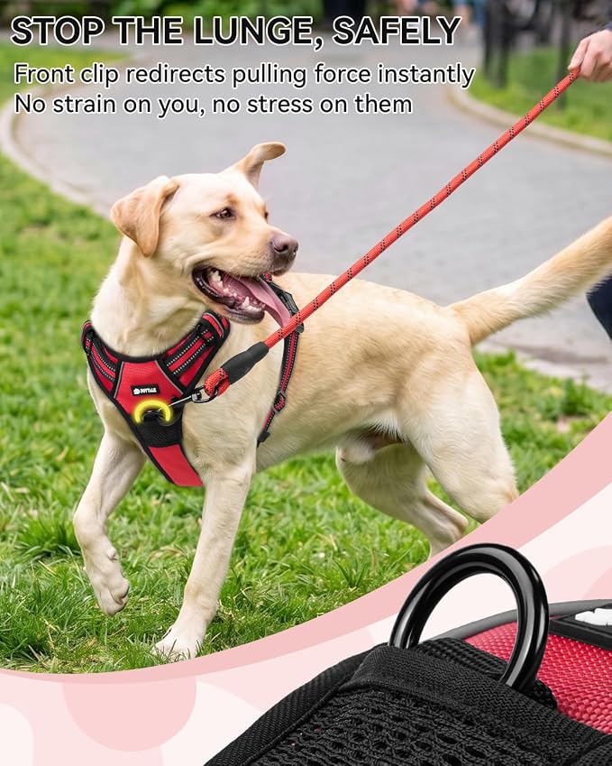 Joytale No Pull Dog Harness & Seat Belt, Easy On 3-Buckle, L, Red | Front Clip Reduces Pulling, Escape-Resistant Design, Adjustable Fit, Soft Padding for Comfort, Secure Tether for Safer Travel