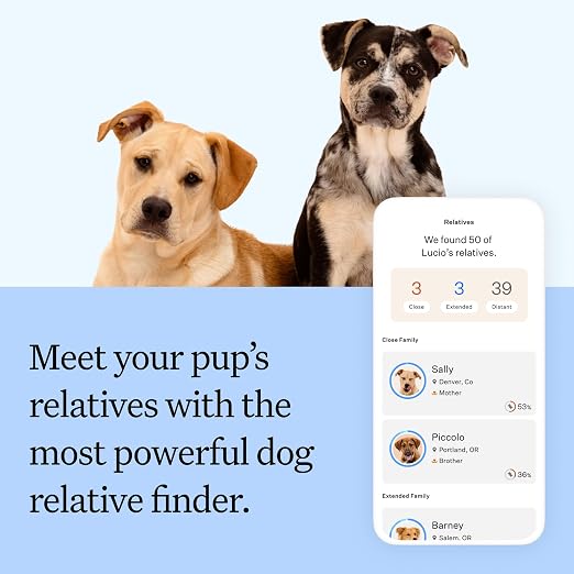 Wisdom Panel Breed Discovery DNA Test Kit