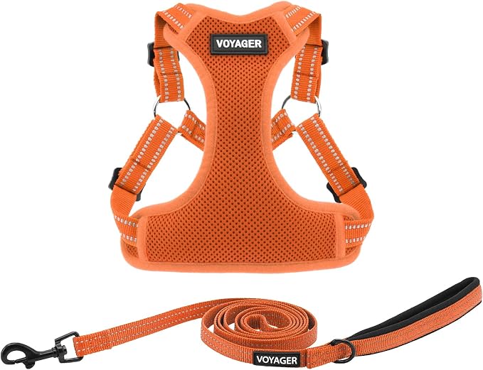 Best Pet Supplies Voyager Adjustable Step-in Flex Breathable Mesh Dog Harness for Small Medium Large Dogs Leash Set (Orange), M