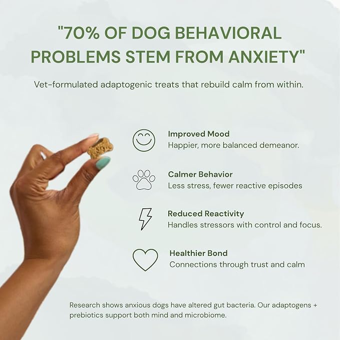 Balance + Calm Calming Dog Treats, Plant-Based with Ashwagandha, Peanut Butter & Pumpkin, Stress & Anxiety Relief, Grain-Free, Organic, 2-Pack Bundle