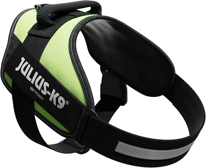 Julius-K9, 16IDC-NE-1, IDC Powerharness, Dog Harness, Size: 1, Neon Green
