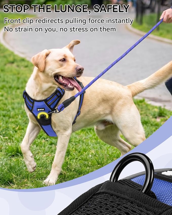 Joytale No Pull Dog Harness & Seat Belt, Easy On 3-Buckle, XL, Navy Blue | Front Clip Reduces Pulling, Escape-Resistant Design, Adjustable Fit, Soft Padding for Comfort, Secure Tether for Safer Travel