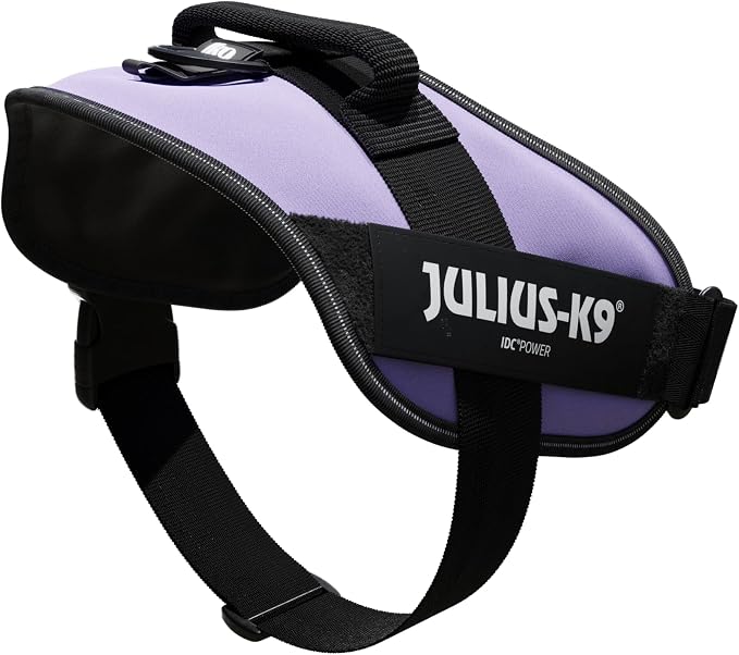 Julius-K9, 16IDC-PR-2, IDC Powerharness, Dog Harness, Size: 2, Purple
