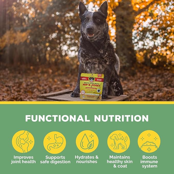 Brutus Broth Dog Food Topper - Instant Bone Broth Powder for Dogs - Supports Hip and Joint Function - Human-Grade Quality, Serve Dry or Wet - Chicken Flavor, 3.5 oz (Pack of 1)