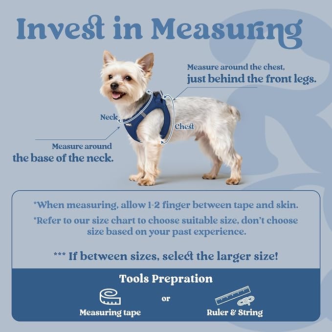 rabbitgoo Step-in Small Dog Harness, Puppy Vest for Small Sized Pet | Easy Put on and off, Lightweight, Soft, Breathable Quick-Dry Air Mesh for Comfortable Secure Walking, Navy Blue XXXS