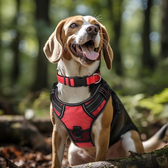 Joytale 6FT×1'' Dog Leash and Dog Collar (16-24"), Reflective Soft Neoprene Padded Pet Collars and Leashes for Large Dog, Red