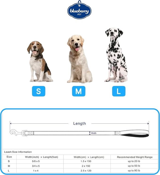 Cherry Garden Dog Leash