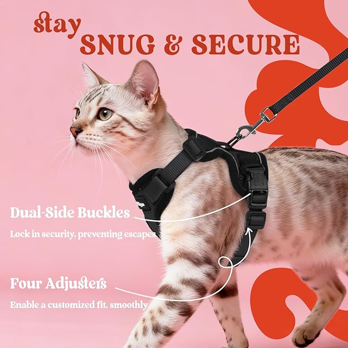 rabbitgoo Cat Harness and Leash Set, Escape Proof Vest, Black | Soft Breathable Mesh, Easy Adjustable Fit, Snap Buckles, Sturdy Clip, Reflective Strips, for Kittens & Small Cats Walks, Xxs