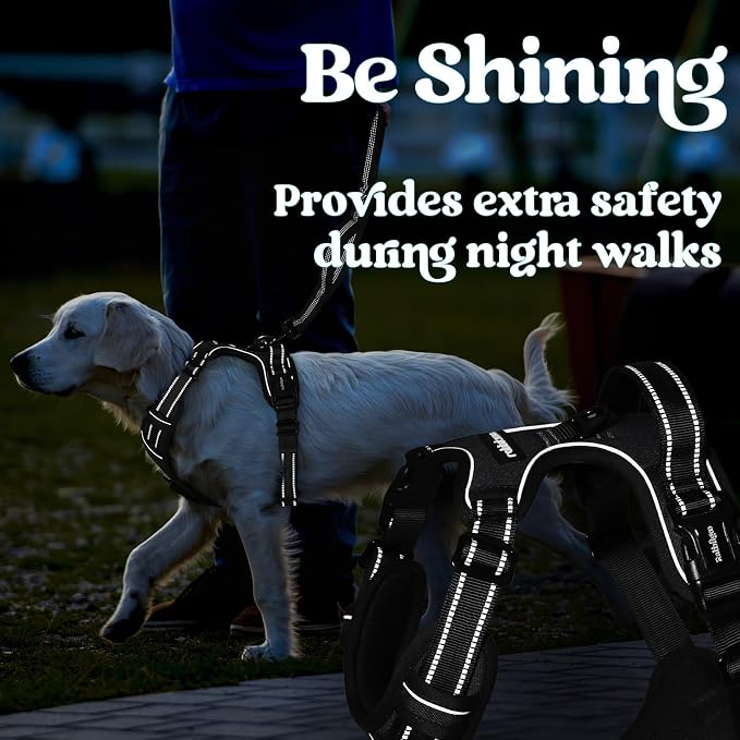 rabbitgoo Dog Harness Small Sized, Updated Easy On & Off with 3 Buckles | No Pull No Choke, Walking with 2 Clips and Handle, Adjustable Soft Reflective, Black, Small