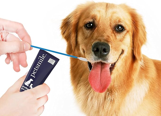 Petsmile Pet Toothpaste Applicator Swabs 50 Ct, Cat + Dog Teeth Cleaning | No-Brush Application, Reaches Back Molars, Single-Use Hygienic Design, Small + Large Pets, Gentle Toothbrush Alternative