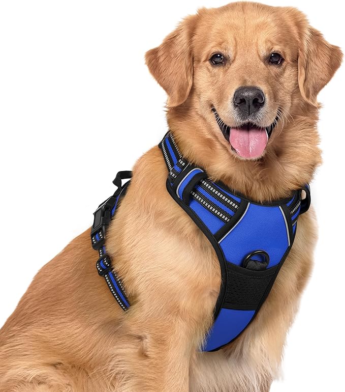 rabbitgoo Dog Harness, No Pull for Large Dogs with 2 Leash Clips, Pet Vest | No Choke with Handle, Adjustable Soft Padded, Reflective, Easy Control for Walking, Dazzling Blue, X-Large