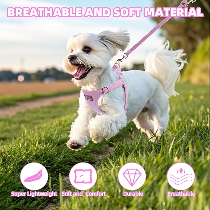 PUPTECK Dog Harness and Leash Set Small Sized, Lightweight Step-in Puppy Harness, Escape Proof No Pull Cute Pet Vest Harnesses, Purple XS