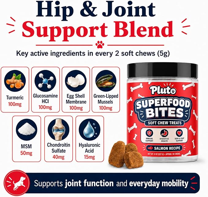 Pluto Superfood Softchew for Dogs, Immune Support Digestive Health Skin & COATSUPPORT Hip and Joint Supplement for Dogs Salmon Flavor 90 Chews (1 PCS)