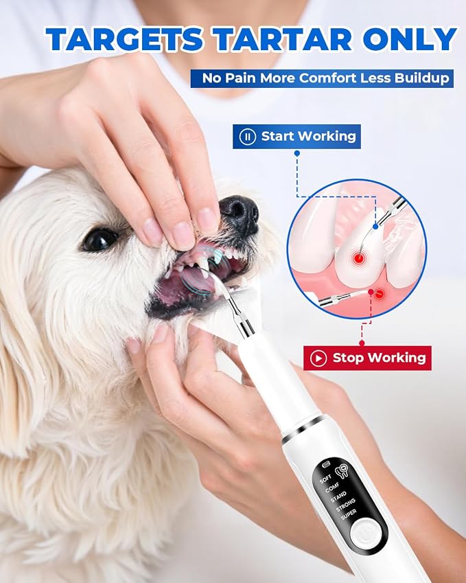 Ultrasonic Dog Tooth Cleaner, Plaque & Tartar Remover for Dogs | 5 Cleaning Modes, 2 Replaceable Heads, Built-in LED Light, Easy One-Button Operation, Suitable for Dogs & Cats