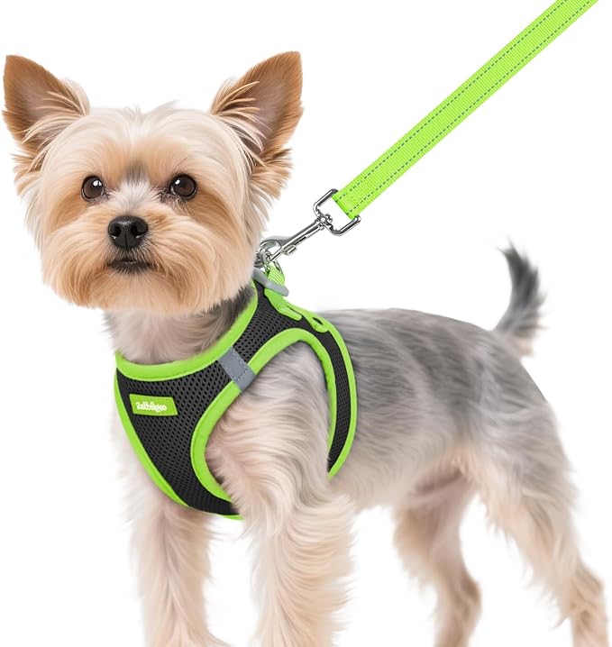 rabbitgoo Dog Harness Small Sized and Leash Set, Step in Soft Vest | Breathable Mesh, Easy Wear with Hook & Loop, Light and Reflective for Walking, Multi-colored, Black & Green, XS