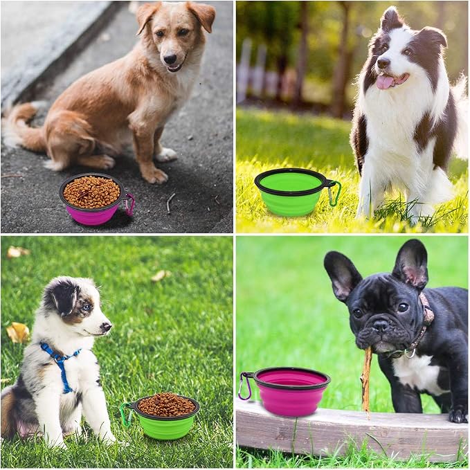 Dog Bowl Collapsible, 2 Pack, with Carabiners, Small, Green+Purple