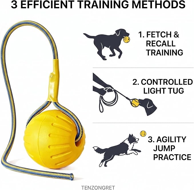 Dog Ball on Rope, Floating EVA Fetch Toy, Medium