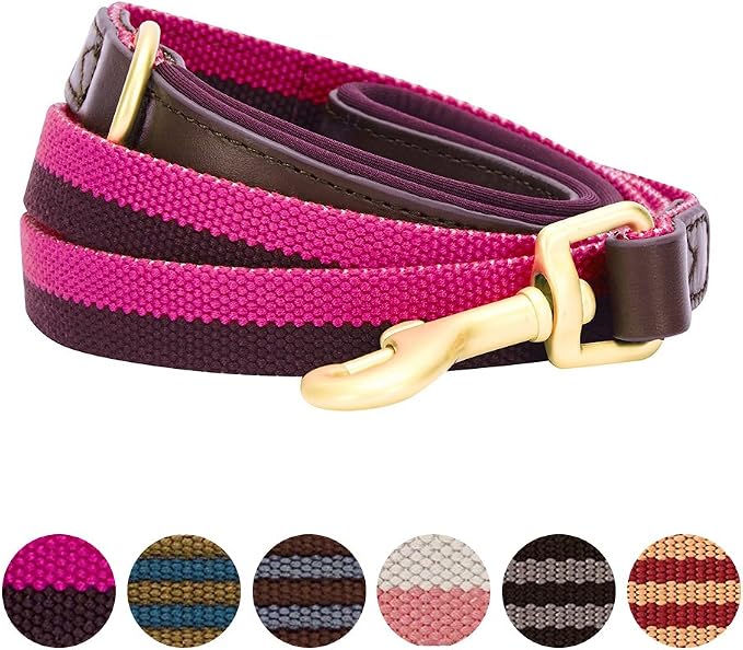 Blueberry Pet Polyester Fabric Webbing and Soft Genuine Leather Dog Leash with Soft & Comfortable Handle, 6 ft x 3/4", Hot Pink and Purple, Leashes for Dogs