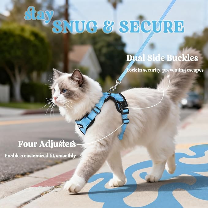 rabbitgoo Cat Harness and Leash Set, Escape Proof Vest, Light Blue | Soft Breathable Mesh, Easy Adjustable Fit, Snap Buckles, Sturdy Clip, Reflective Strips, for Medium to Large Cats Walks, M