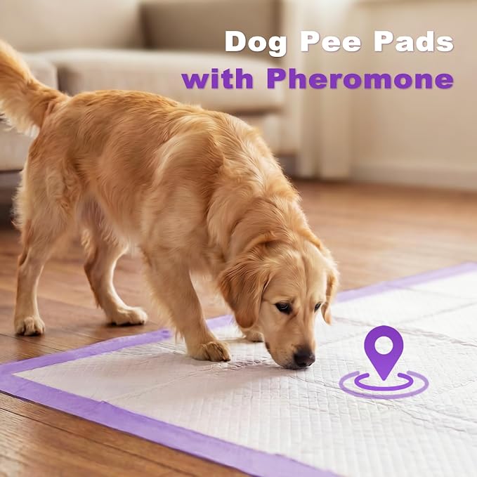 MIZOK Puppy Pads 28x34in Lavender Scented, Dog Pee Pads Extra Large Odor Eliminating Ultra Absorbent Up to 8 Cups, 6 Layers Leak-Proof & Quick-Dry Purple (40 Counts)