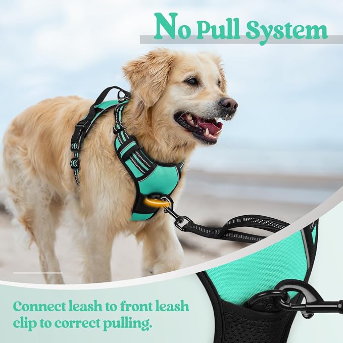 rabbitgoo Dog Harness, No Pull for Large Dogs with 2 Leash Clips, Pet Vest | No Choke with Handle, Adjustable Soft Padded, Reflective, Easy Control for Walking, Turquoise, Large