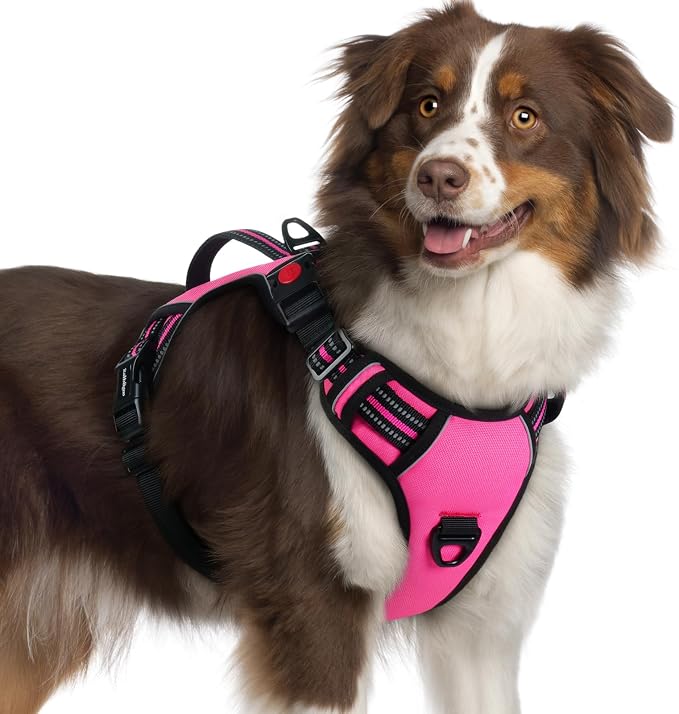 rabbitgoo Large Dog Harness, Easy Wear with 3 Buckles and Lift Handle | No Pull with Front Clip for Walking, Adjustable Soft Padded, Reflective, Easy Control, Pink, X-Large