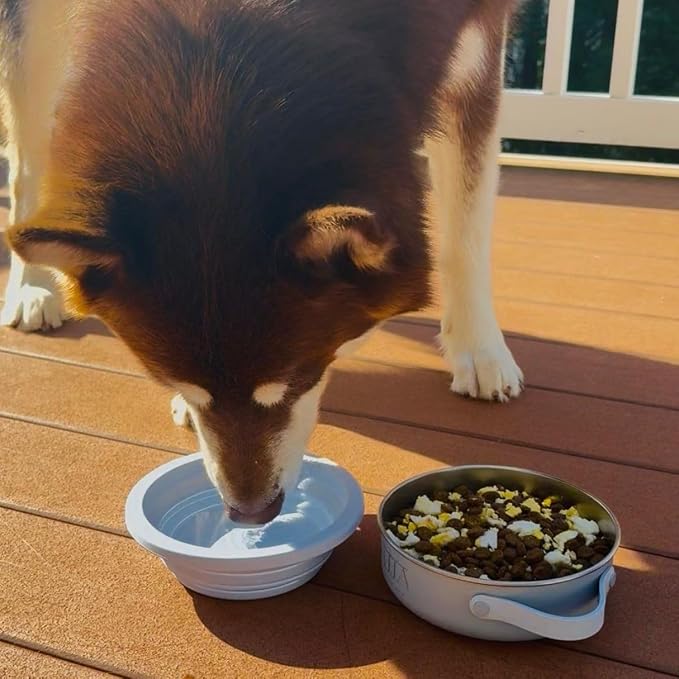 Blue Slow Feeder Travel Dog Bowl Set, 30oz Steel + 20oz Silicone